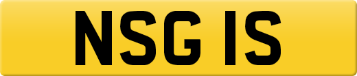 NSG1S