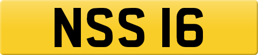 NSS16