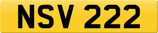NSV222
