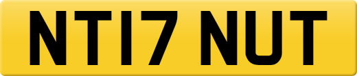 NT17NUT