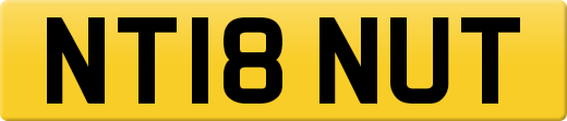 NT18NUT