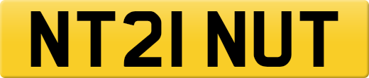 NT21NUT
