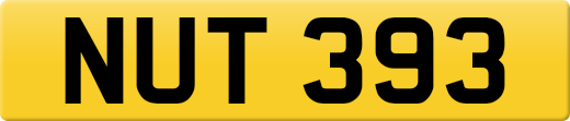 NUT393