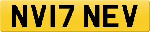 NV17NEV