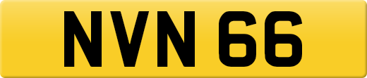 NVN66