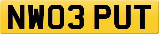 NW03PUT