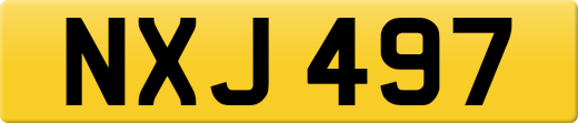 NXJ497