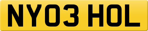 NY03HOL