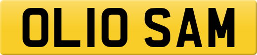 OL10SAM