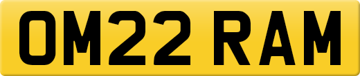 OM22RAM