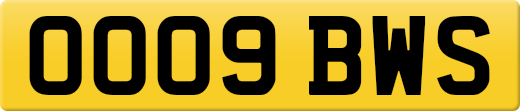 OO09BWS