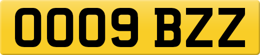 OO09BZZ