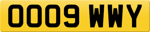 OO09WWY