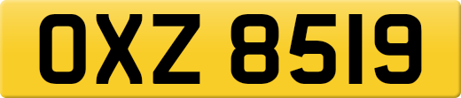 OXZ8519