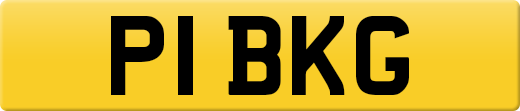 P1BKG