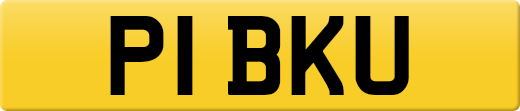 P1BKU