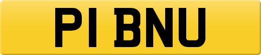P1BNU
