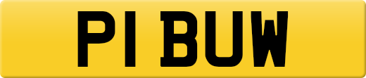 P1BUW