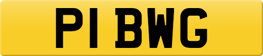 P1BWG
