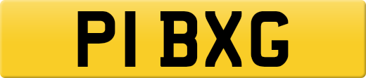 P1BXG