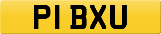 P1BXU