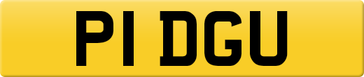 P1DGU