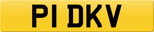 P1DKV