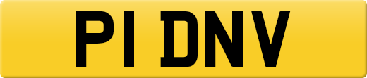 P1DNV