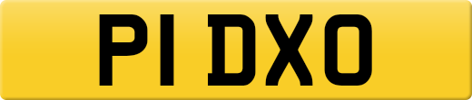 P1DXO