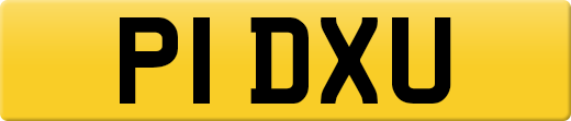 P1DXU