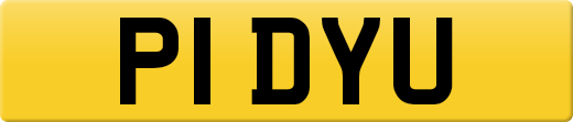 P1DYU