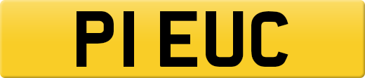 P1EUC