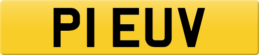 P1EUV