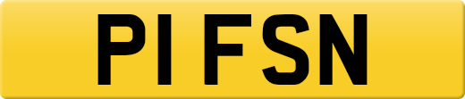 P1FSN