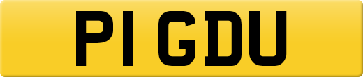 P1GDU