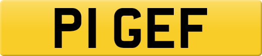 P1GEF