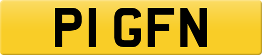 P1GFN