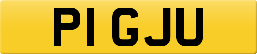 P1GJU