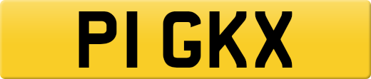 P1GKX
