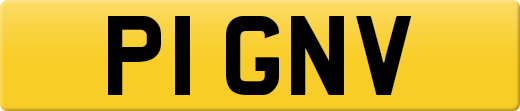 P1GNV