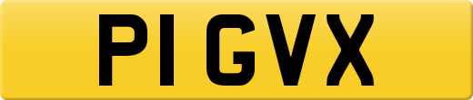P1GVX