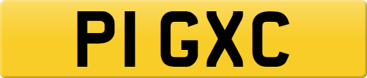 P1GXC