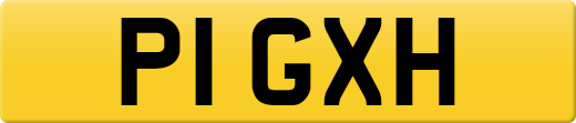 P1GXH