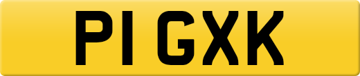 P1GXK
