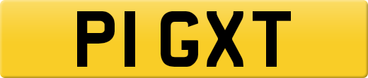 P1GXT