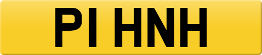P1HNH