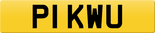 P1KWU