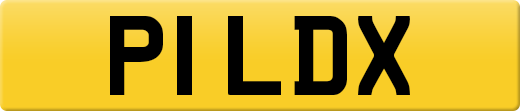 P1LDX