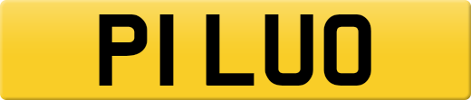 P1LUO