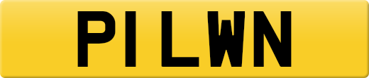 P1LWN